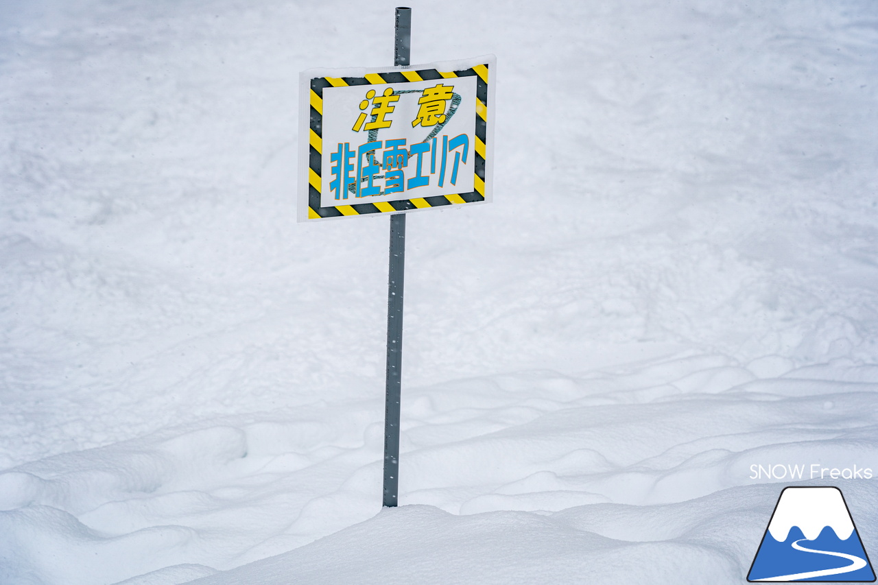 桂沢国設スキー場｜もしかして、春の足音が聞こえはじめた？湿り雪に季節の移ろいを感じた日曜日。